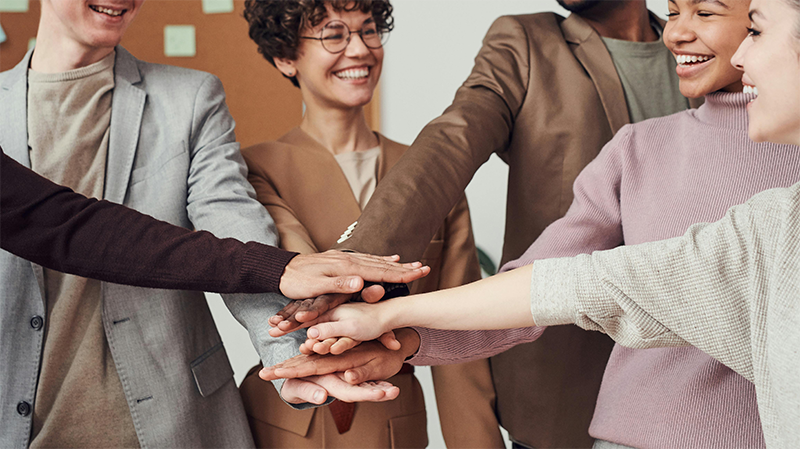 coaching koala formations